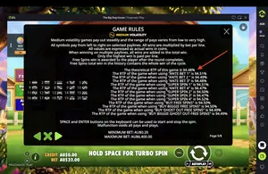The Big Dog House RTP 94.48% at MateSlots — game rules screen