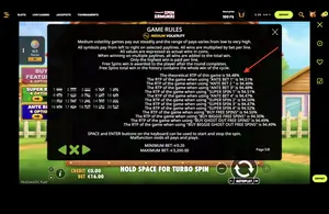 The Big Dog House RTP 94.48% at Spin Samurai — game rules screen