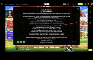 The Dog House Megaways 1000 RTP 94.50% at Spin Samurai — game rules screen