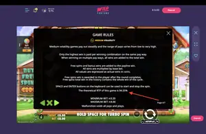 The Dog House Megaways RTP 94.55% at Wild Fortune — game rules screen