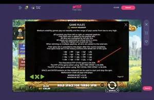 The Dog House Royal Hunt RTP 94.52% at Wild Fortune — game rules screen